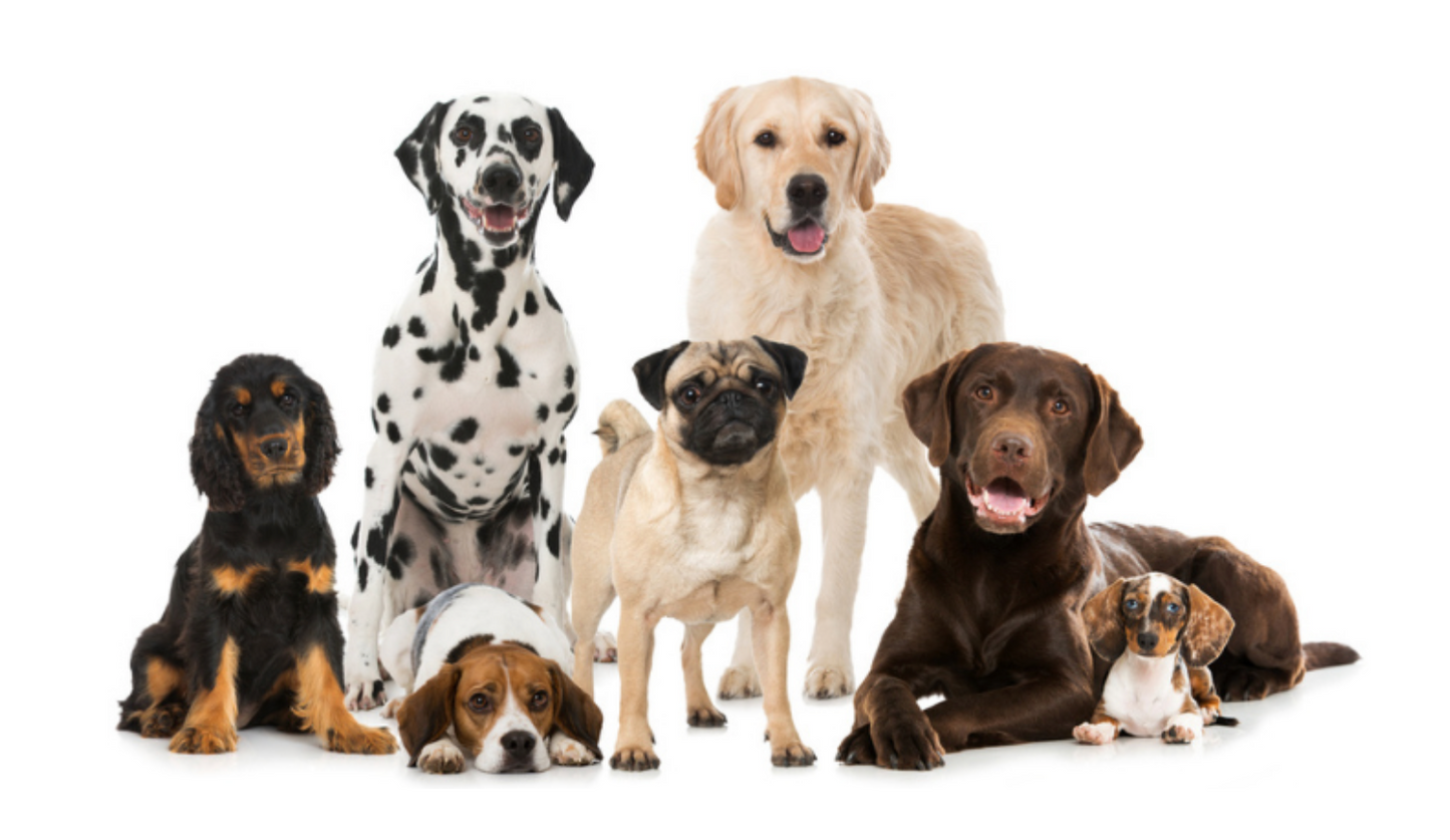 Domenica 8 Febbraio - Hotel Zone